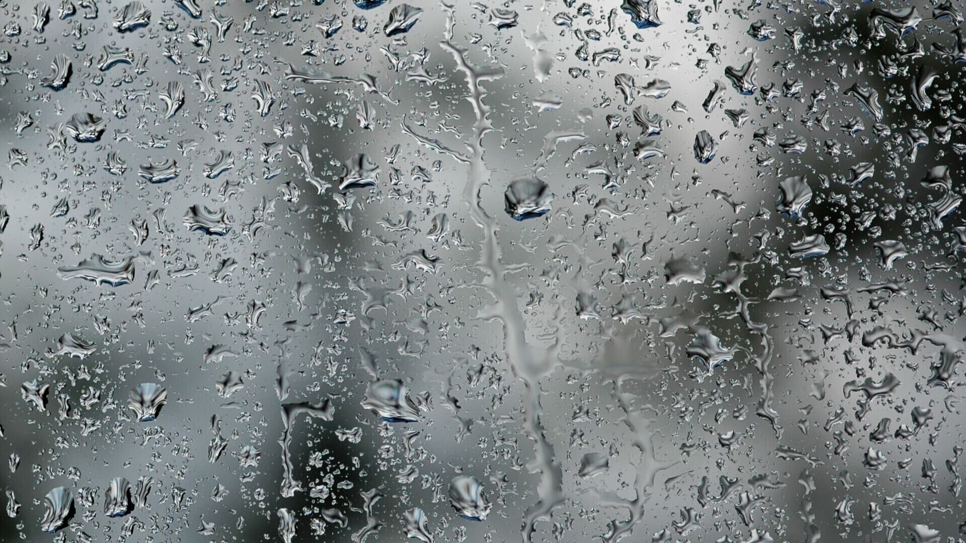Możliwe silne opady deszczu, burze, silny wiatr i grad. IMGW ostrzega region