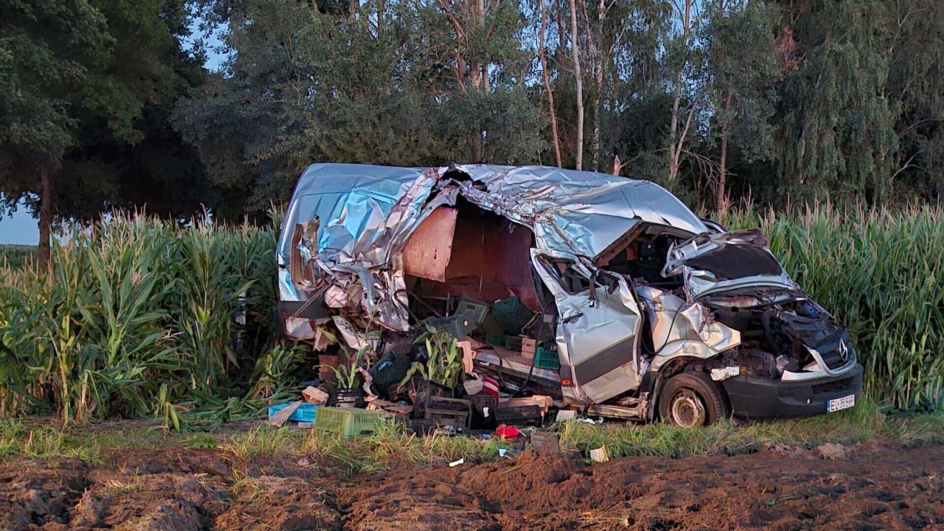 Groźny wypadek w Zawodziu w gminie Czarnocin. Kierujący dostawczym Mercedesem z 2,5 promila uderzył w drzewo i wpadł w pole kukurydzy