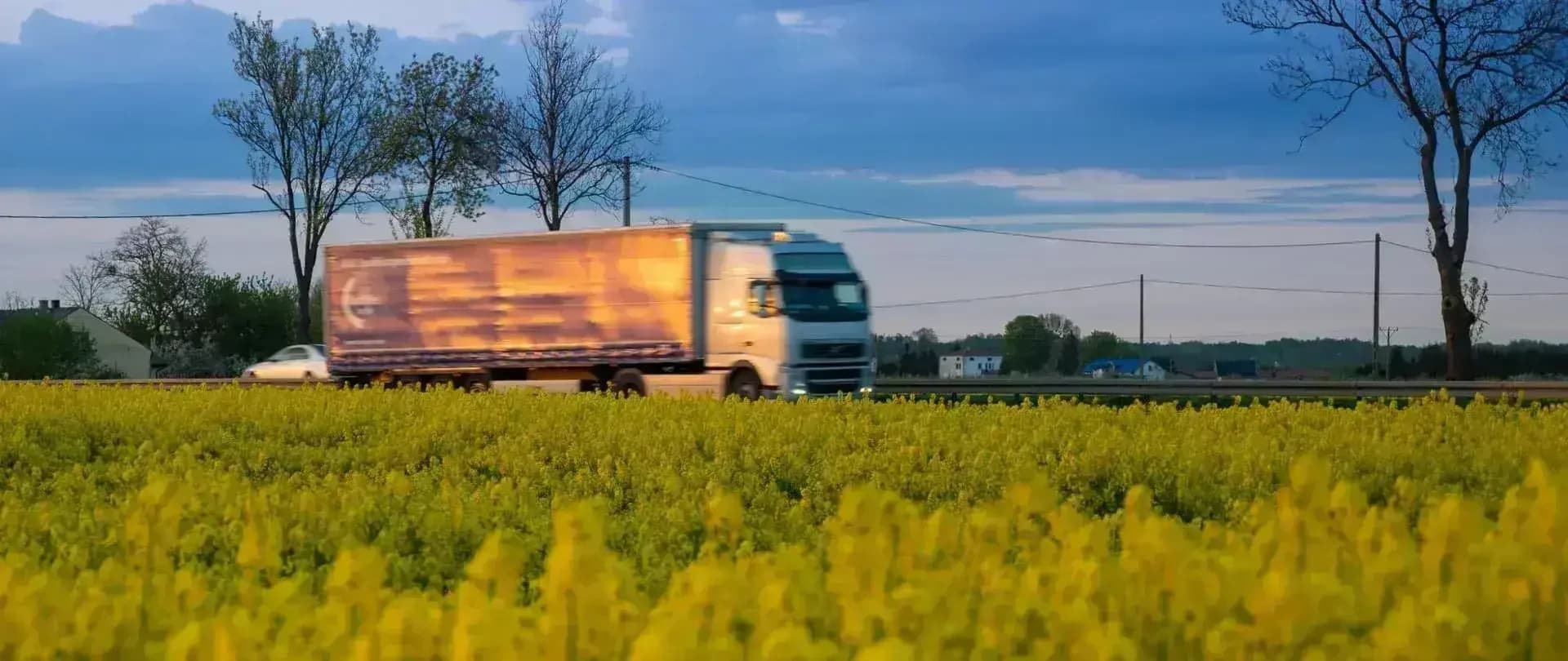Decyzja środowiskowa dla 70 km dróg S12 i S74 w Łódzkiem – budowa nie została wstrzymana