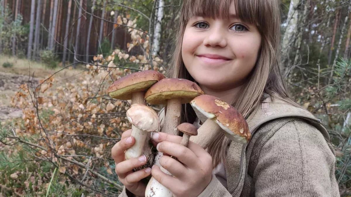 Wysyp w Łódzkiem. Grzybiarze pokazują, gdzie są najlepsze miejsca