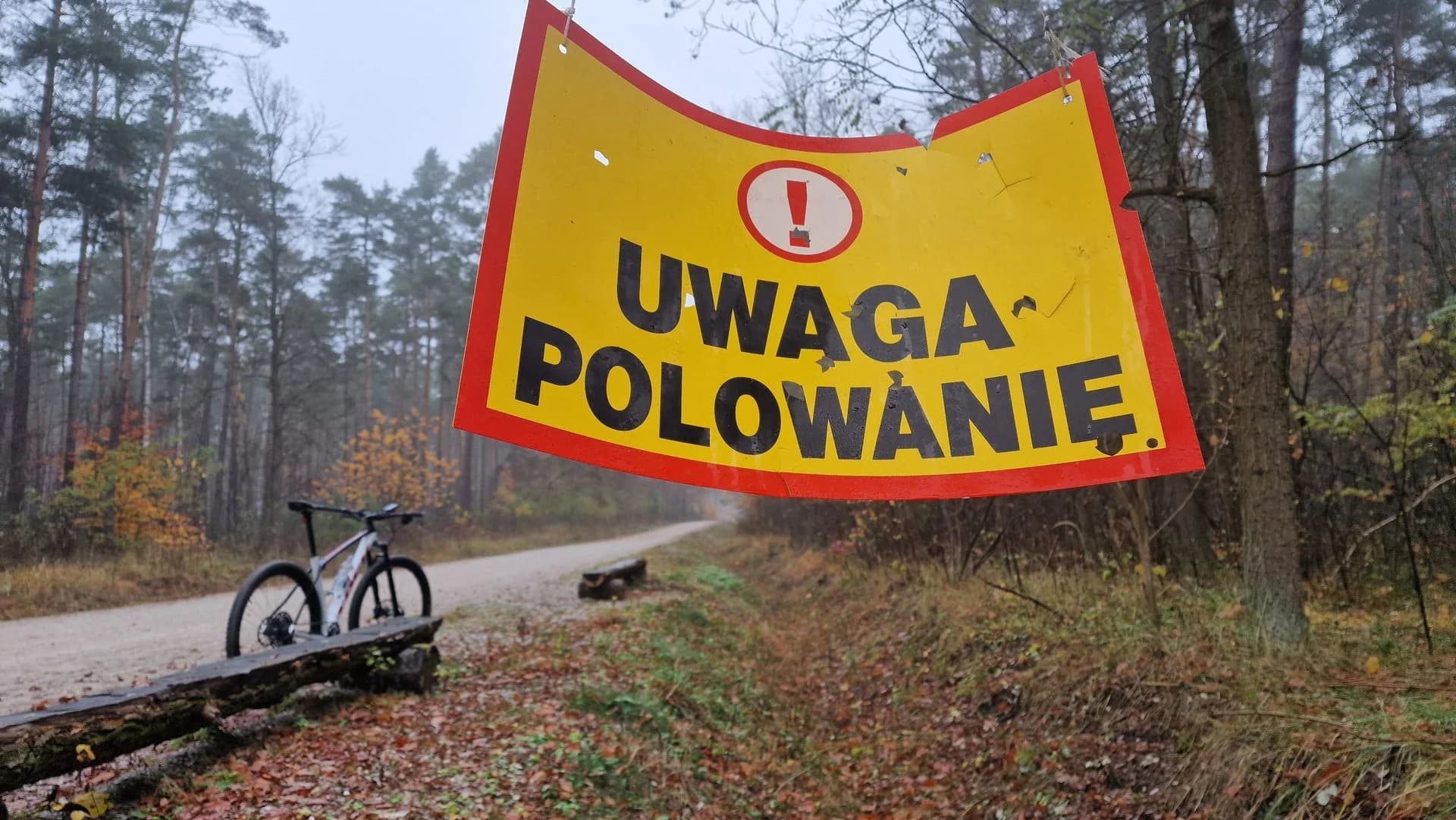 Koło Łowieckie „Sokół” zapowiedziało polowania w okolicach Piotrkowa